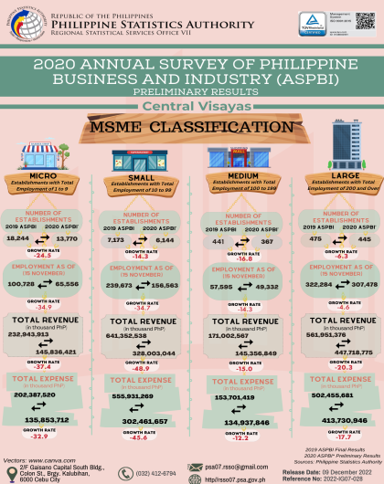 2020 Annual Survey of Philippine Business and Industry (Preliminary Results) - MSME Classification