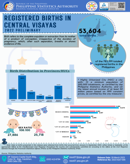Registered Births in Central Visayas (2022 Preliminary)