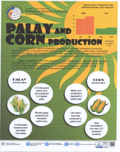 Palay and Corn Production- Jan to June 2021