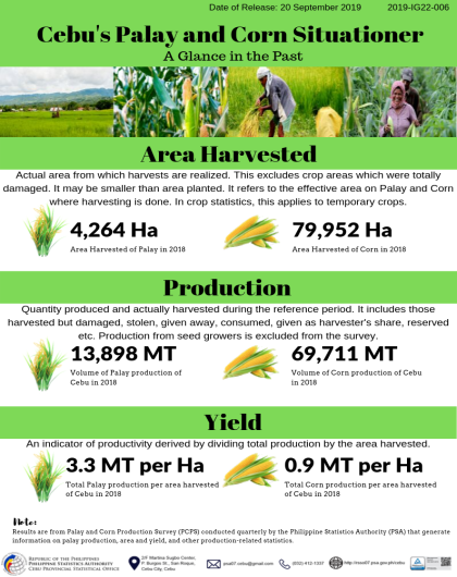 Cebu's Palay and Corn Situationer A Glance in the Past