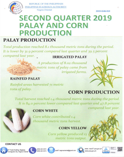 2nd Quarter 2019 Palay and Corn Production