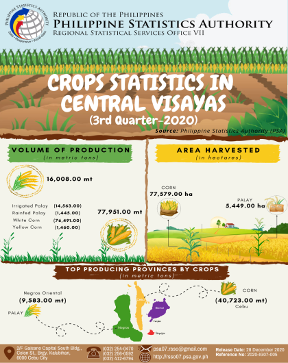 Crops Statistics in Central Visayas - 3rd Quarter 2020
