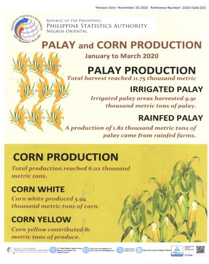 Palay and Corn Production - Jan to March 2020