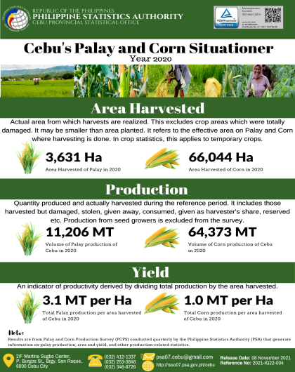 Cebu's Palay and Corn Situationer Year 2020
