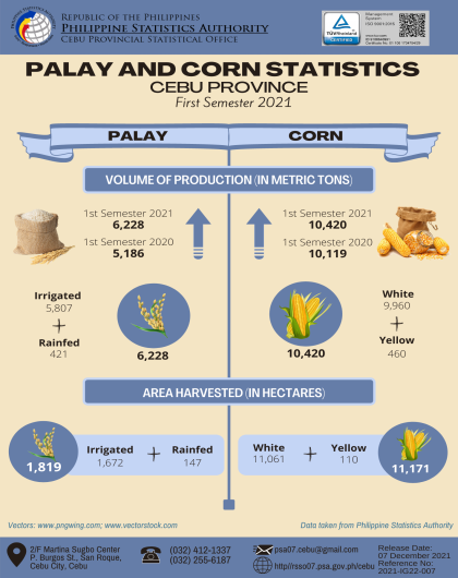 Palay and Corn Statistics, Cebu Province, First Semester 2021