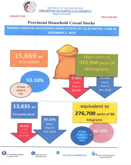 Provincial Household Cereal Stocks in December 1, 2020
