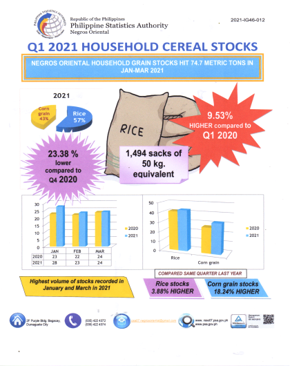 NegOo Household Grain Stock in Jan - Mar 2021