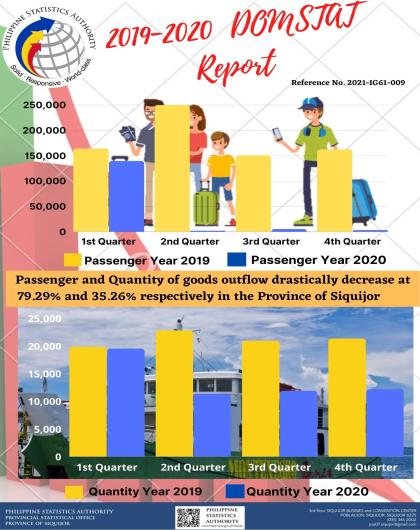 2019-2020 DOMSTAT Report