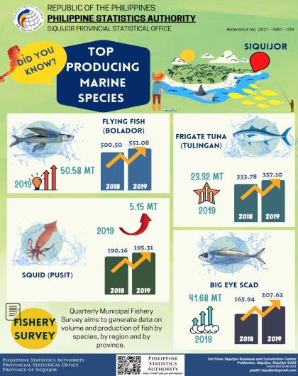 Siquijor's Top Producing Marine Species