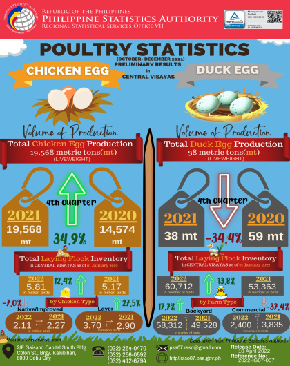 Chicken and Duck Eggs Statistics in Central Visayas (October to December 2021 Preliminary Results)