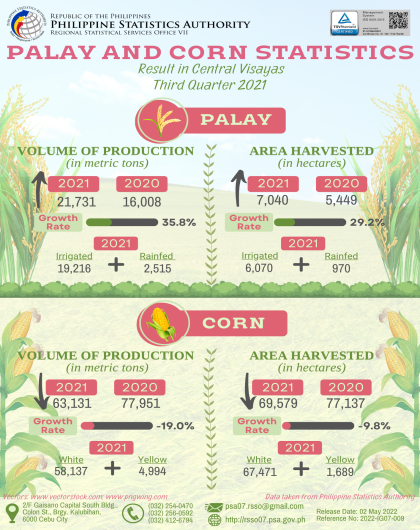 Palay and Corn Statistics in Central Visayas (Third Quarter 2021 Results)