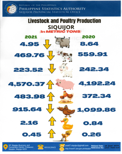 Livestock and Poultry Production Siquijor