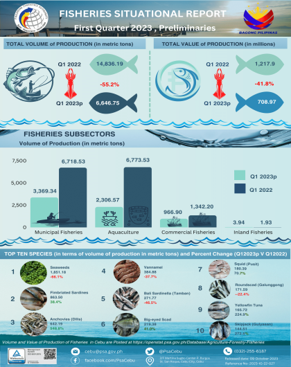 Fisheries Situational Report, First Quarter 2023, Preliminaries