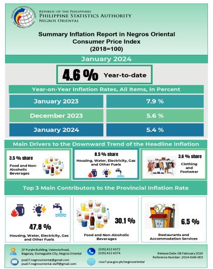 Summary Inflation Report in Negros Oriental Consumer Price Index (2018=100) January 2024