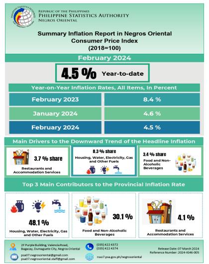 Summary Inflation Report in Negros Oriental Consumer Price Index (2018=100) February 2024