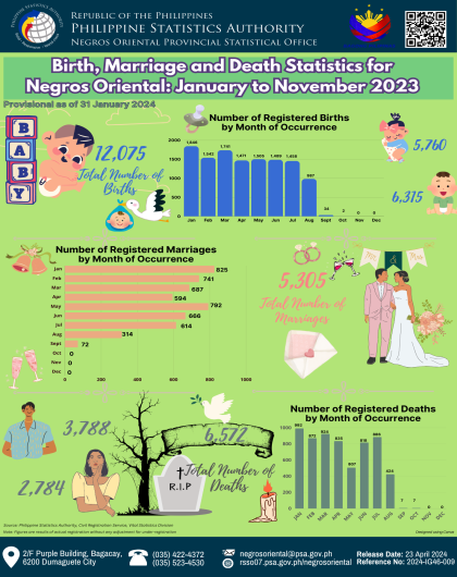 Birth, Marriage, and Death Statistics for Negros Oriental: January to November 2023