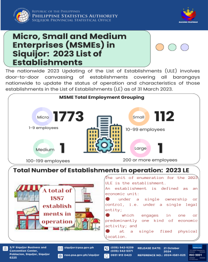 Micro, Small and Medium Enterprises (MSMEs) in Siquijor: 2023 List of Establishments