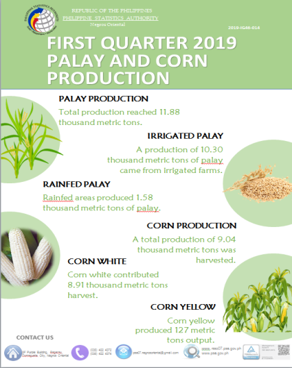 First Quarter 2019 Palay and Corn Production