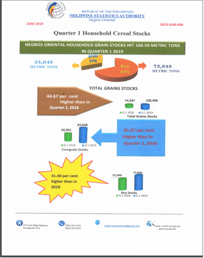 Household Cereal Stocks of NegOr 2019 First Quarter