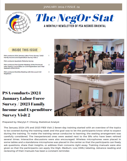 The NegOr Stat_ January 2024 Newsletter