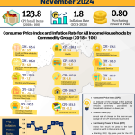 Bohol Price Indices - November 2024