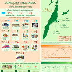 Province of Cebu Consumer Price Index for All Income Households November 2024(2018=100)