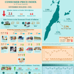 City of Lapu-Lapu Consumer Price Index for All Income Households November 2024(2018=100)